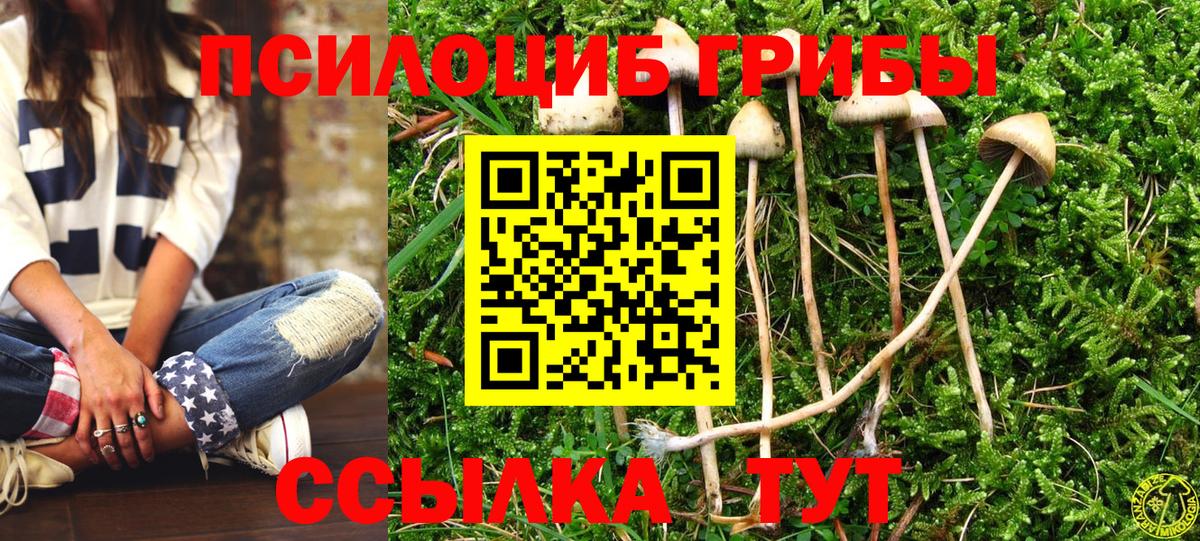 Галлюциногенные грибы Magic Shrooms  Вход с VPN  Псилоцибиновые грибы GOLDEN TEACHER  Калининград 