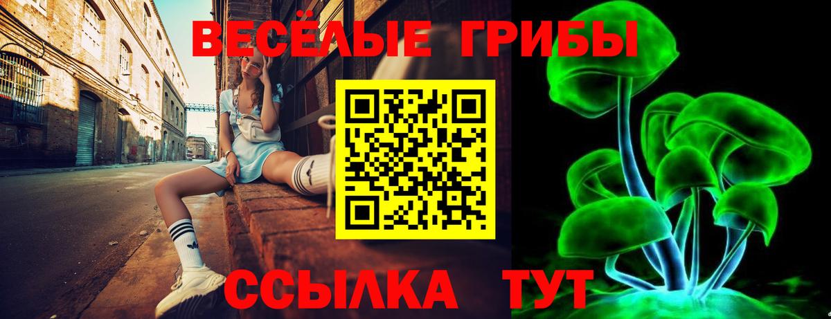 Галлюциногенные грибы мухоморы Калининград
